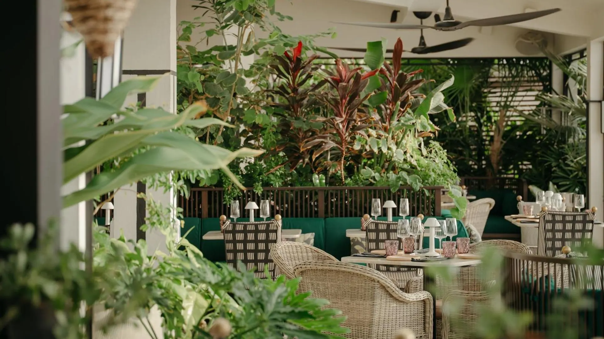 Resort Hotel The Ritz-Carlton, Grand Cayman Dog City