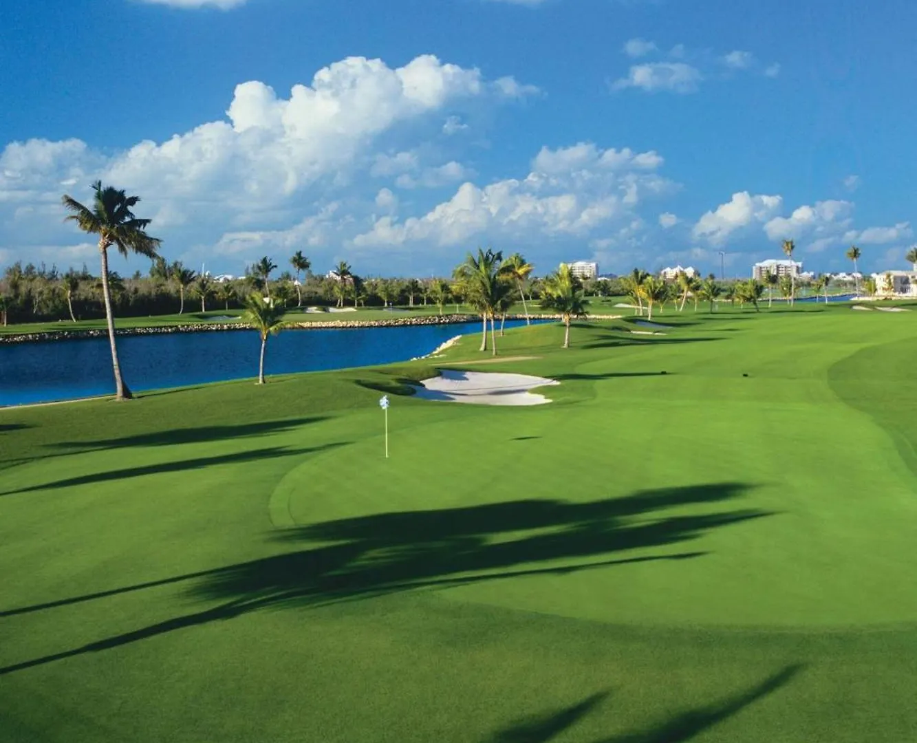 Resort Hotel The Ritz-Carlton, Grand Cayman Dog City