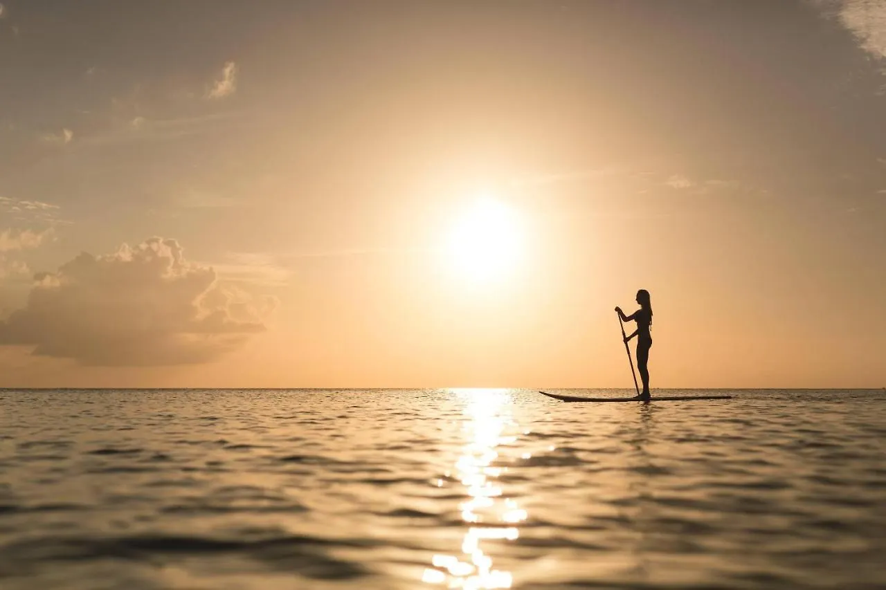 Hotel The Ritz-Carlton, Grand Cayman Dog City Resort